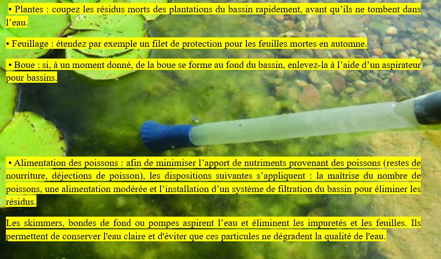 Entretien Piscine Biologique Naturelle