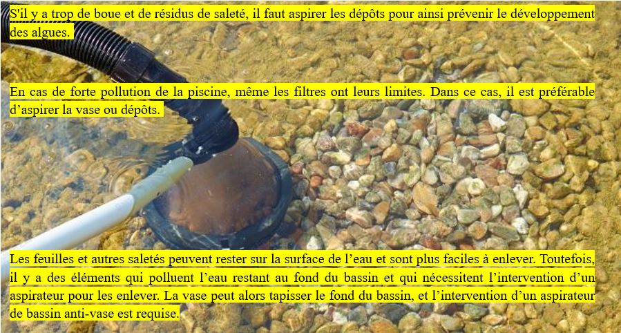 Entretien Piscine Biologique Naturelle