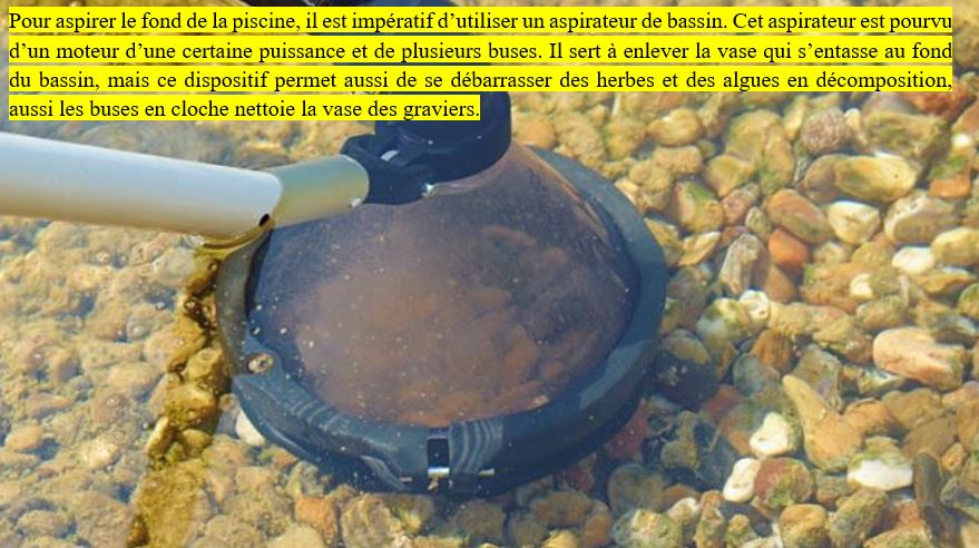 Entretien Piscine Biologique Naturelle