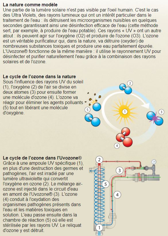 Entretien Piscine Biologique Naturelle